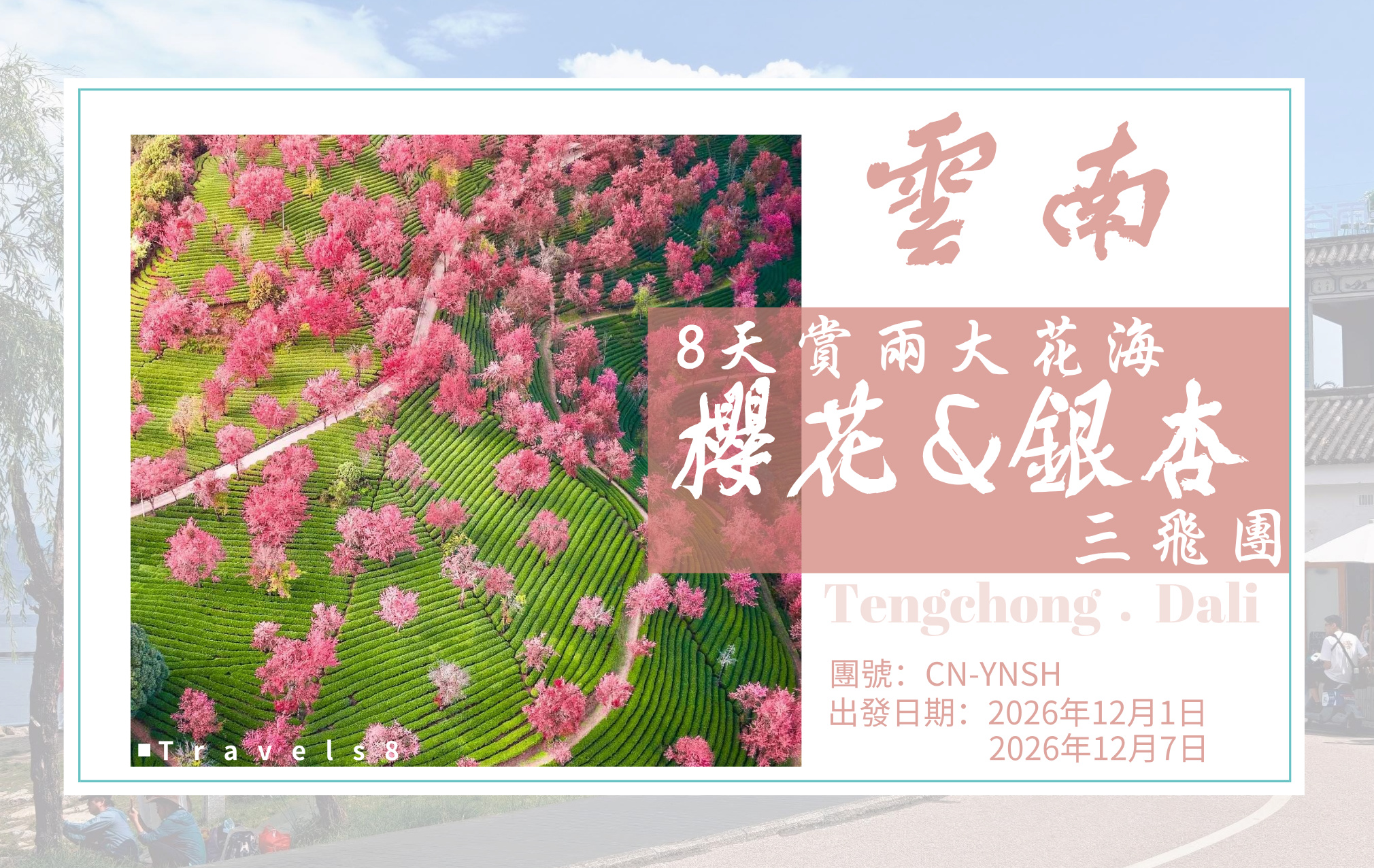 季節限定-雲南騰沖豪華團  酒店四晚連住+大理兩晚連住《櫻花》《銀杏》三飛團